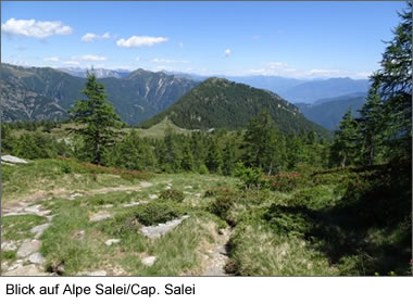 Blick auf Alpe Salei - Cap. Salei